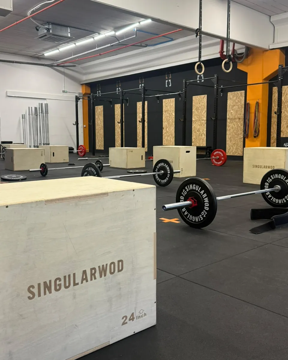 Cajones pliométricos y barras con discos SINGULARWOD en BOX035